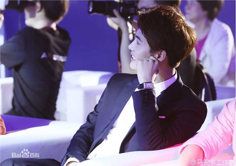 马天宇(Ray Ma)幻城之夜开播发布会及开播晚会性感图片图集