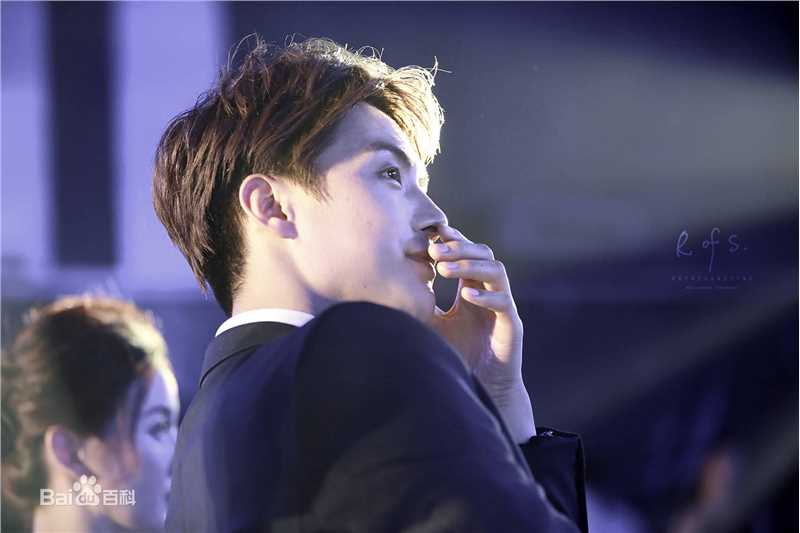 马天宇(Ray Ma)幻城之夜开播发布会及开播晚会性感图片图集