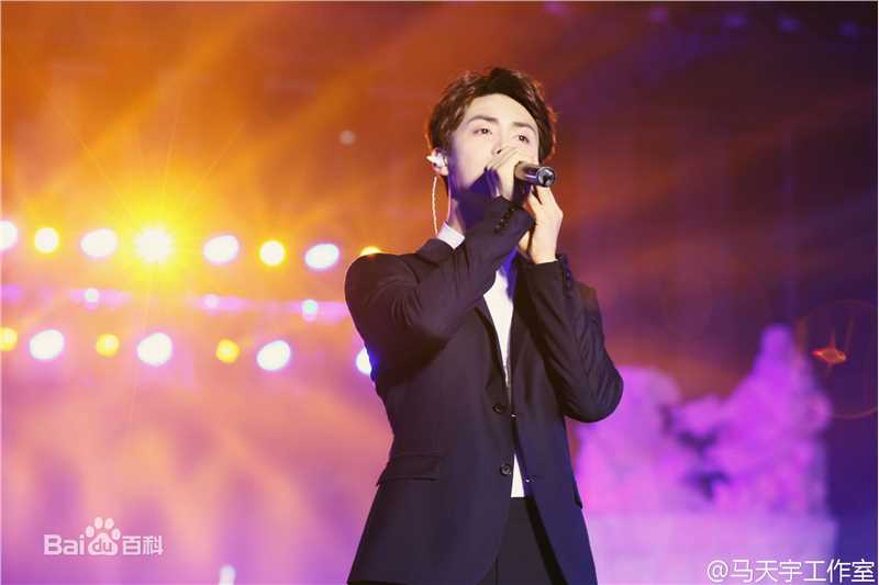 马天宇(Ray Ma)幻城之夜开播发布会及开播晚会性感图片图集