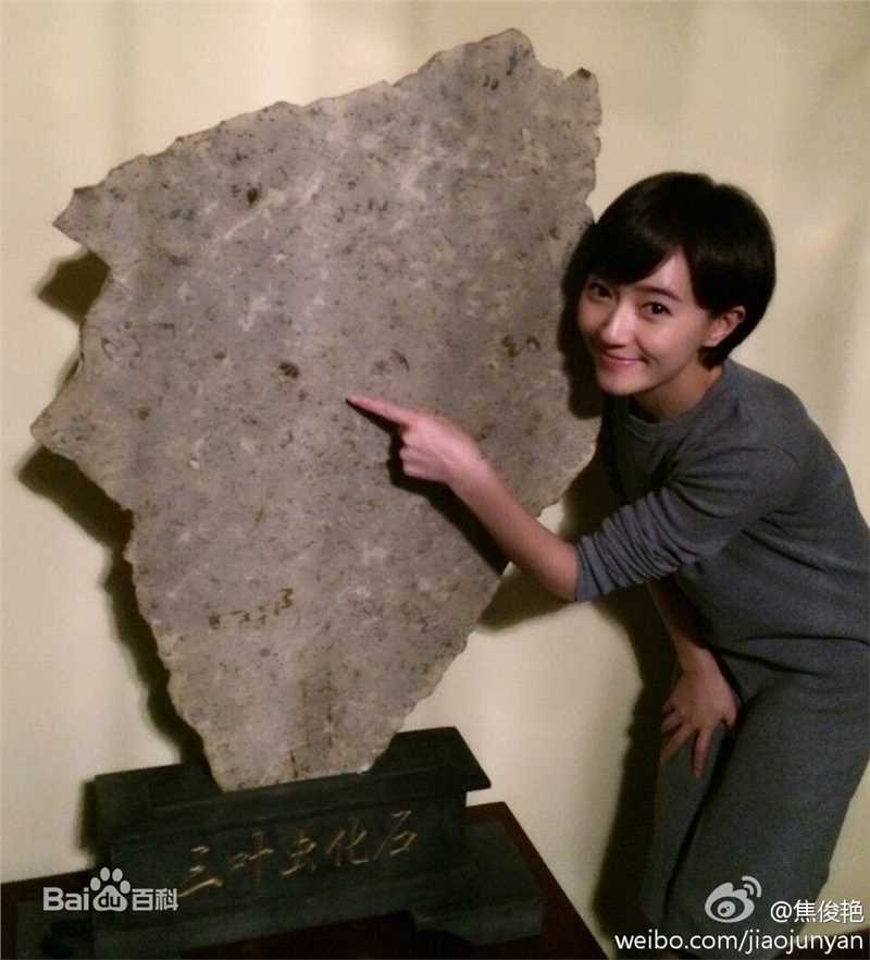 焦俊艳生活照片