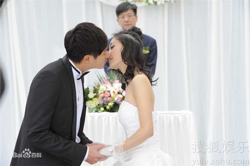 最新王丽坤(Claudia)在2010年《盛女的黄金时代》 饰 梁爽中的壁纸