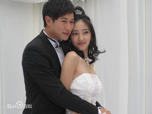 最新王丽坤(Claudia)在2010年《盛女的黄金时代》 饰 梁爽中的壁纸