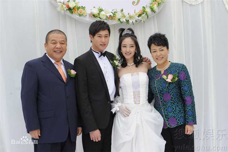 最新王丽坤(Claudia)在2010年《盛女的黄金时代》 饰 梁爽中的壁纸