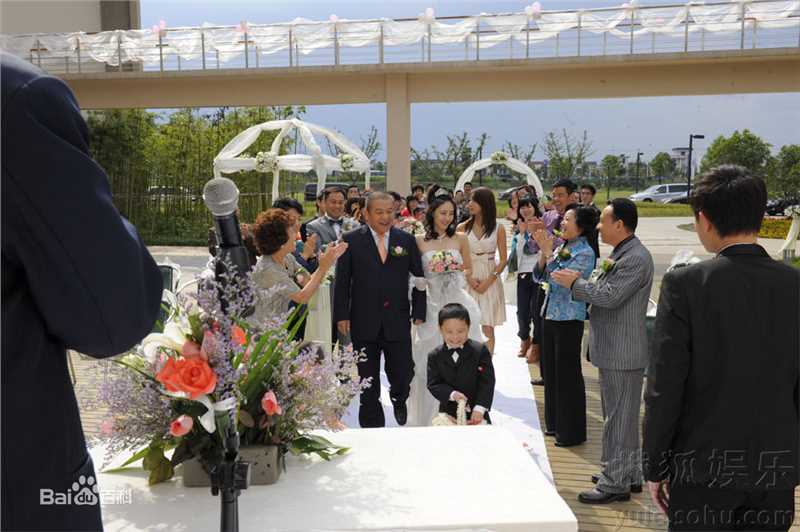 最新王丽坤(Claudia)在2010年《盛女的黄金时代》 饰 梁爽中的壁纸