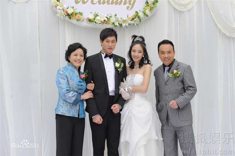 最新王丽坤(Claudia)在2010年《盛女的黄金时代》 饰 梁爽中的壁纸