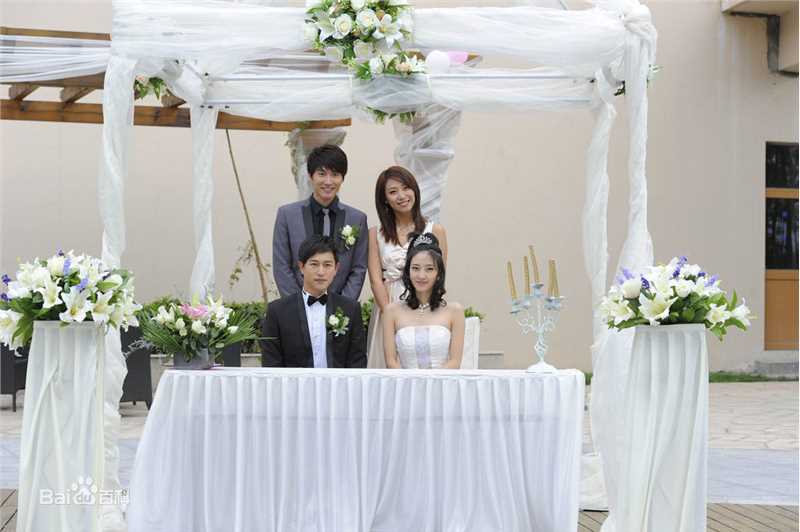 最新王丽坤(Claudia)在2010年《盛女的黄金时代》 饰 梁爽中的壁纸