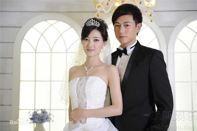 最新王丽坤(Claudia)在2010年《盛女的黄金时代》 饰 梁爽中的壁纸