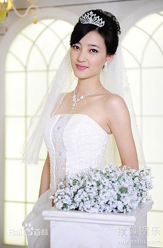 最新王丽坤(Claudia)在2010年《盛女的黄金时代》 饰 梁爽中的壁纸