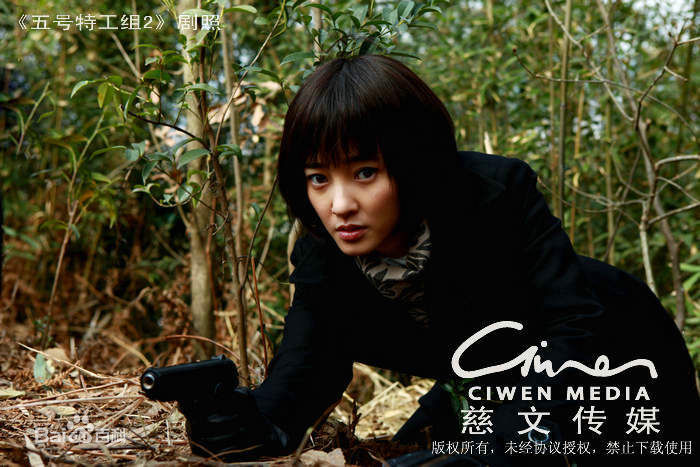 高清王丽坤(Claudia)在2006、2011《五号特工组1、2》 饰高寒中的图集