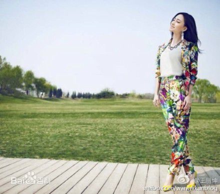 王丽坤(Claudia)微博图册壁纸壁纸