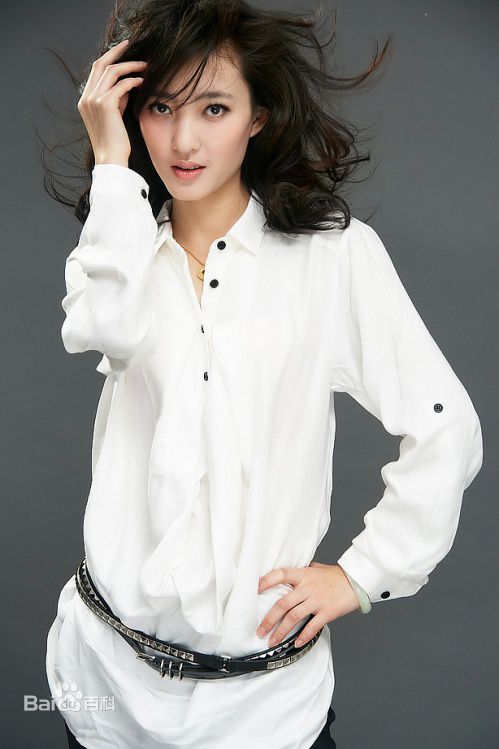 最优质王丽坤(Claudia)在2010年度《北方新报》形象大使中的