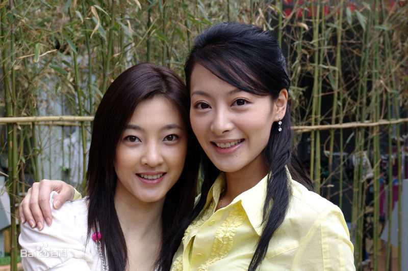 王丽坤(Claudia)在2006年《爱就爱了》饰演张天玉中的