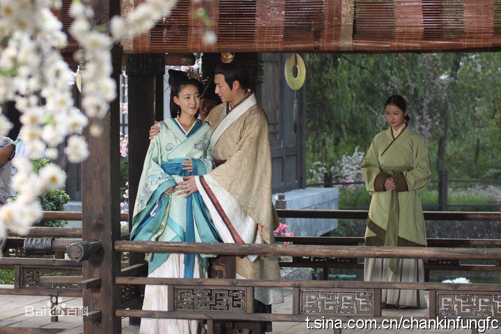 最优质王丽坤(Claudia)在2009年《美人心计》分饰慎儿、王娡、屏花中的相册