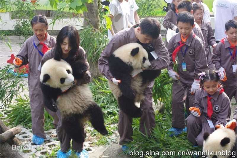 王丽坤(Claudia)2010.08.07 四川雅安动物与自然电影节活动图册