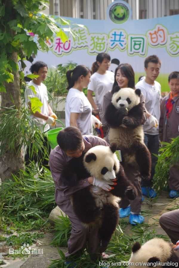 王丽坤(Claudia)2010.08.07 四川雅安动物与自然电影节活动图册