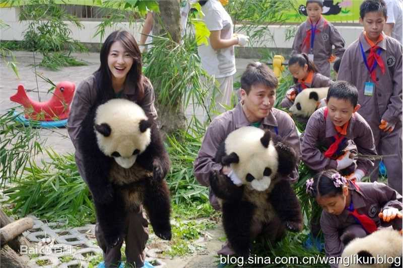 王丽坤(Claudia)2010.08.07 四川雅安动物与自然电影节活动图册