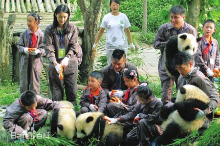 王丽坤(Claudia)2010.08.07 四川雅安动物与自然电影节活动图册