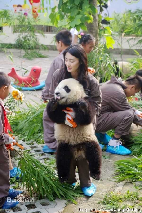 王丽坤(Claudia)2010.08.07 四川雅安动物与自然电影节活动图册
