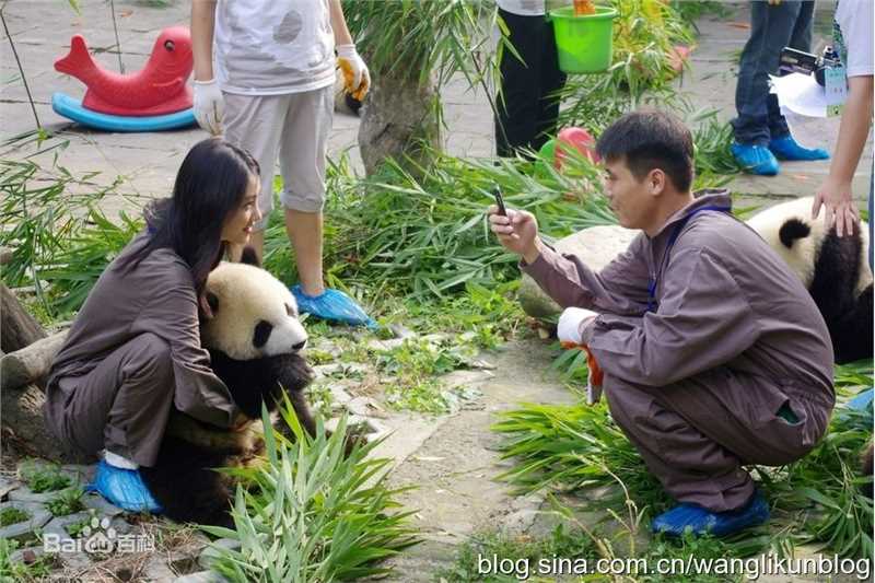 王丽坤(Claudia)2010.08.07 四川雅安动物与自然电影节活动图册