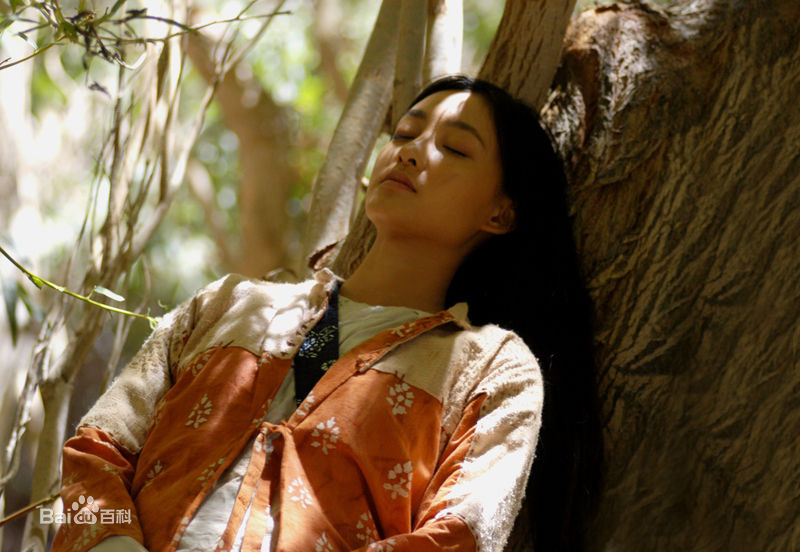 最全王丽坤(Claudia)在2004年《七剑下天山》饰演刘郁芳中的壁纸