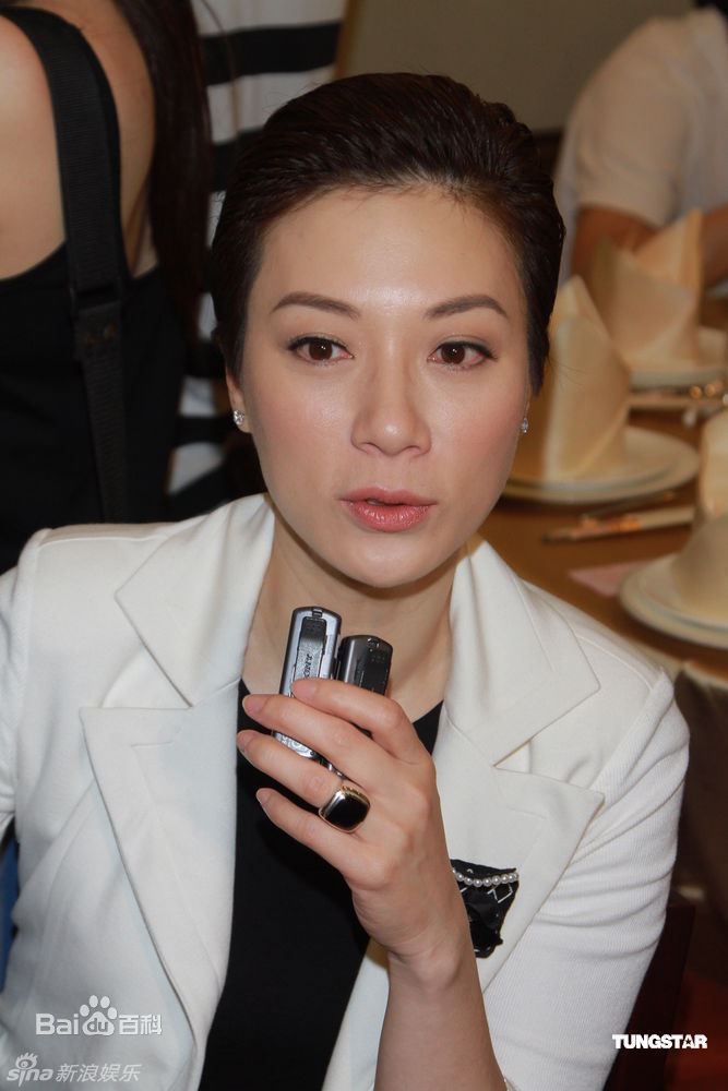 最全张可颐(Maggie Cheung)精彩图册