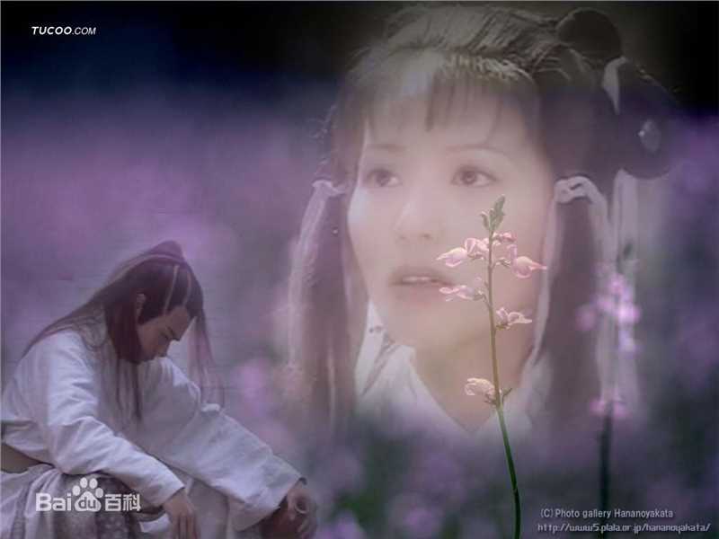 张兆辉(Eddie、Cheung Siu Fai)精选剧照