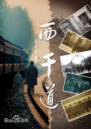 《沈佳妮》封面图片