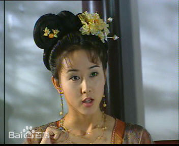 胡静(hujing)参演电视作品（1998-2003）壁纸壁纸