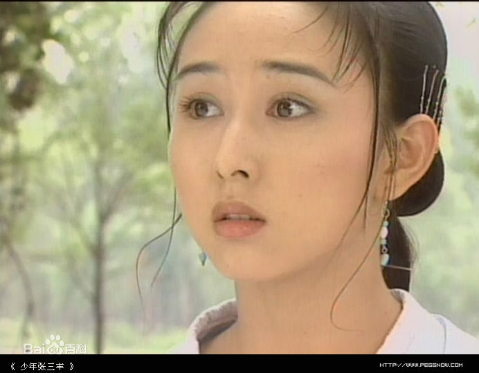 胡静(hujing)参演电视作品（1998-2003）壁纸壁纸