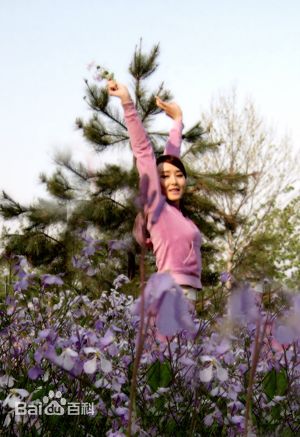 精选胡静(hujing)精彩图册