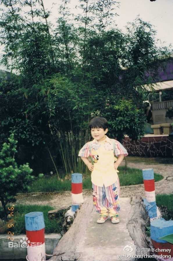 精选陈学冬(Cheney Chen)