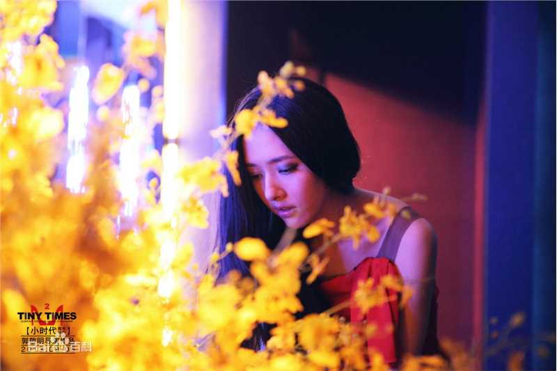 郭碧婷(Bea Hayden)影视最全剧照