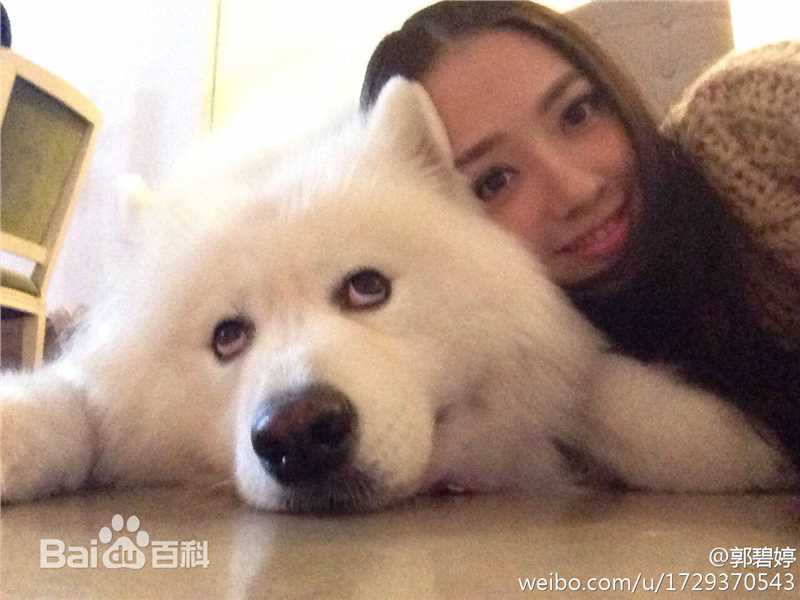 郭碧婷(Bea Hayden)生活照图片图册