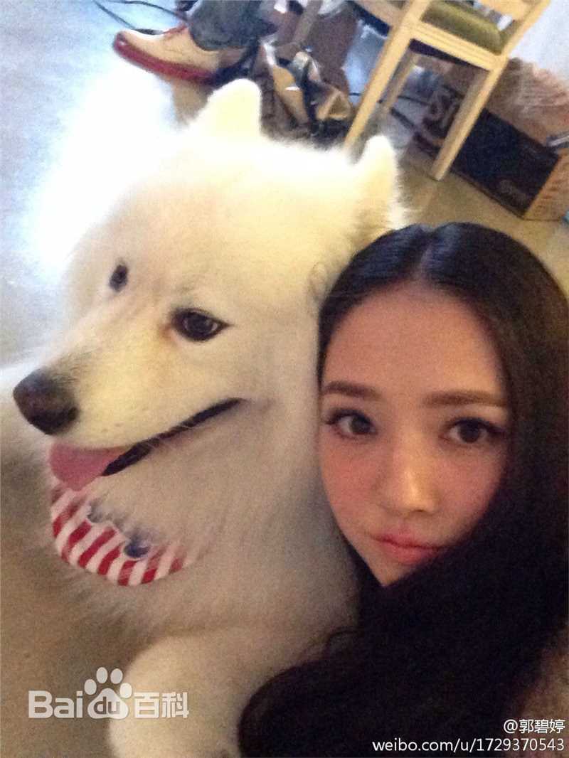 郭碧婷(Bea Hayden)生活照图片图册