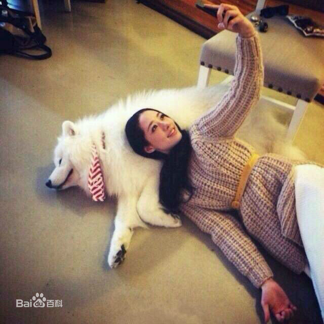 郭碧婷(Bea Hayden)生活照图片图册