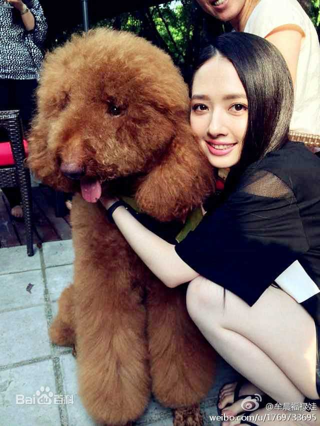 郭碧婷(Bea Hayden)生活照图片图册