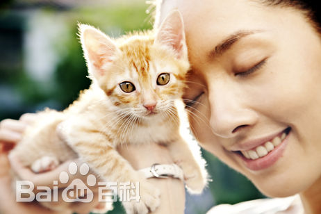 郭碧婷(Bea Hayden)街角的小王子性感图片图集