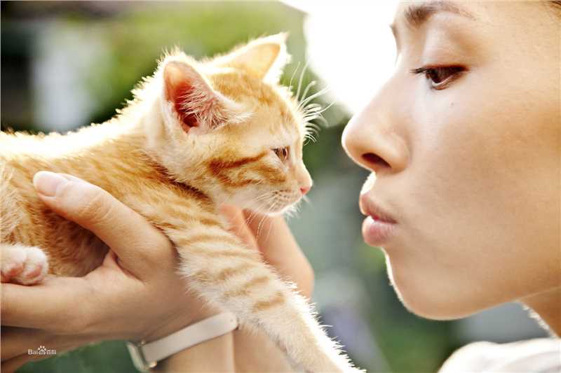 郭碧婷(Bea Hayden)街角的小王子性感图片图集