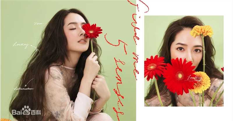 郭碧婷(Bea Hayden)演艺生涯前后照片