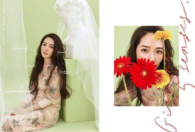 郭碧婷(Bea Hayden)演艺生涯前后照片