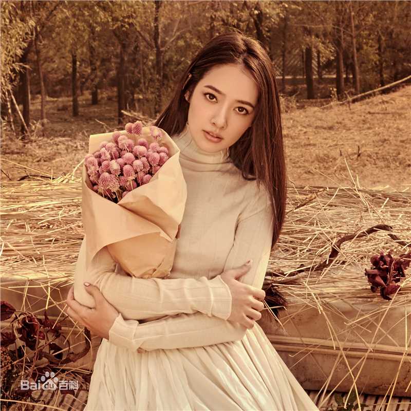 郭碧婷(Bea Hayden)演艺生涯前后照片