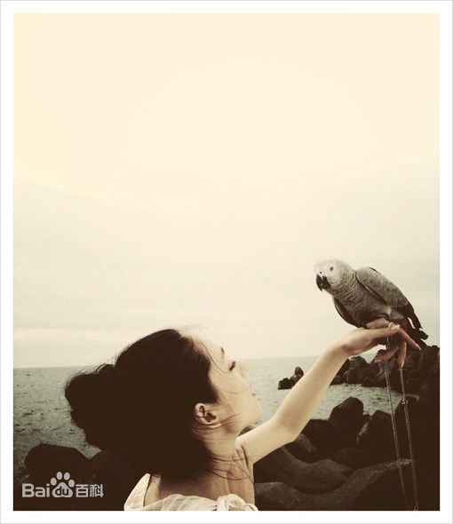 精选郭碧婷(Bea Hayden)精彩图册