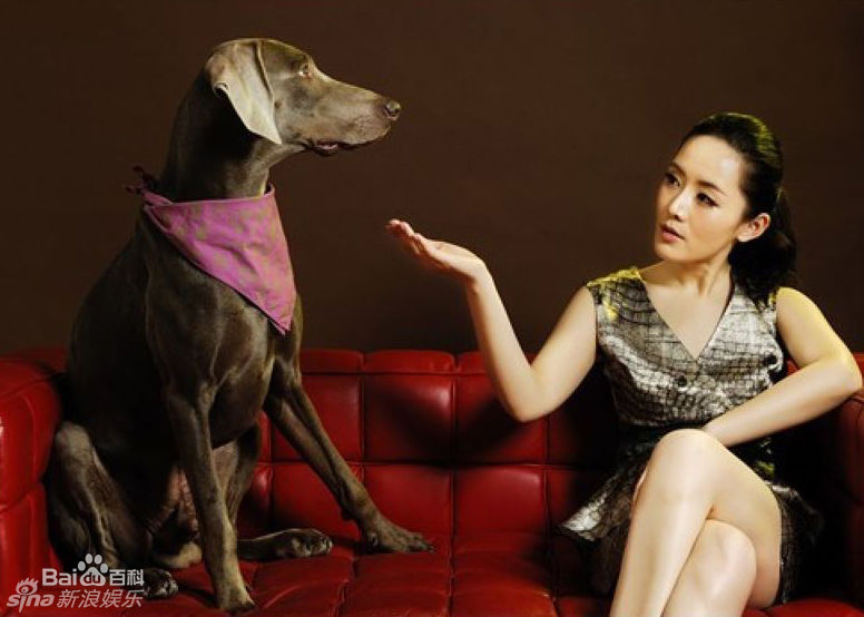 最新车永莉(Che Yong li)精彩图册