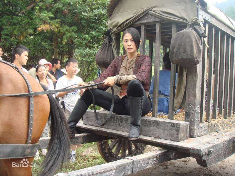 安雅(Anya)在2008年《白鹤功夫传》中的