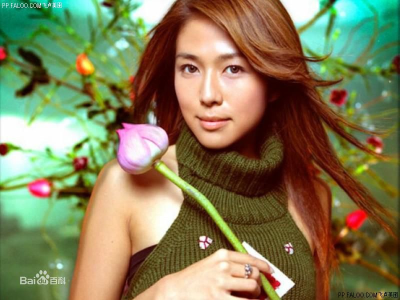 安雅(Anya)精选系列上图册