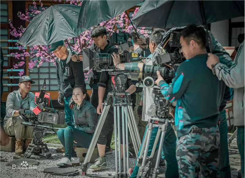 金沙导演工作照素颜照相册