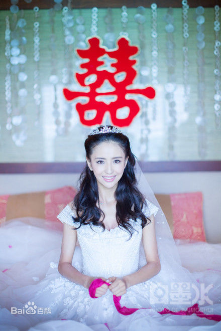 陈思诚(Chen Sicheng)佟丽娅大溪地结婚生活照相册