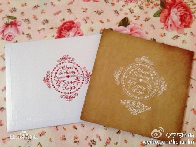 陈思诚(Chen Sicheng)佟丽娅大溪地结婚生活照相册