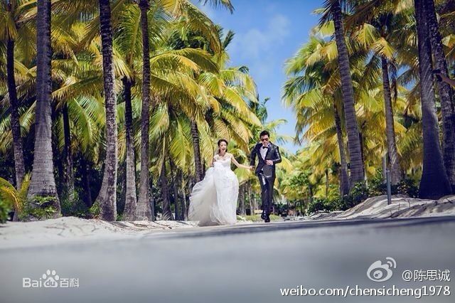 陈思诚(Chen Sicheng)佟丽娅大溪地结婚生活照相册