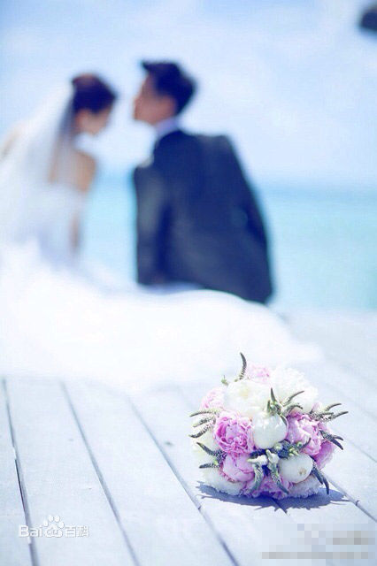 陈思诚(Chen Sicheng)佟丽娅大溪地结婚生活照相册
